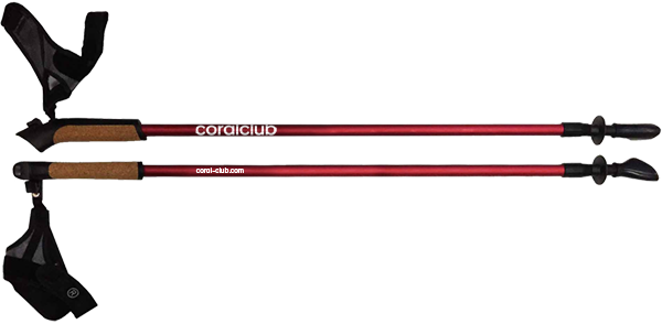 Nordic walking poles